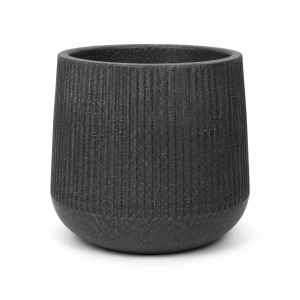 CTROTO Crown
