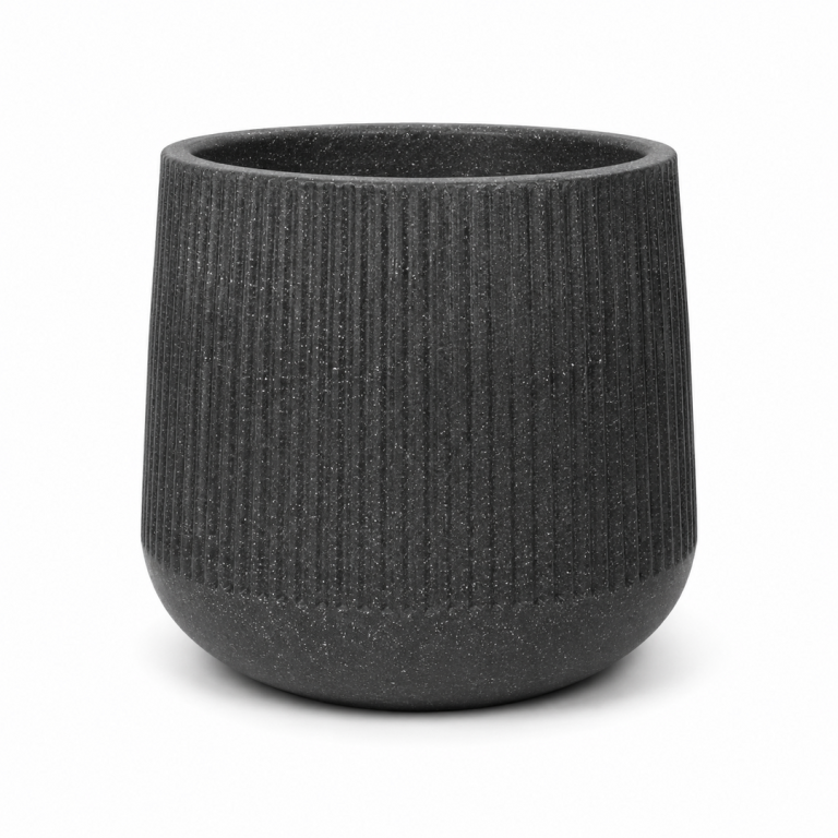CTROTO Crown